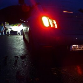 Pkw-Herbst/Winter Training